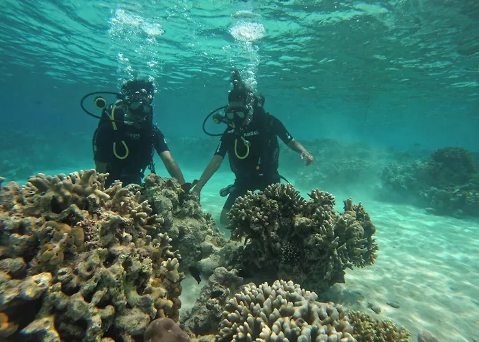 Taman Menjangan By Snorkelingmenjangan イン 2*