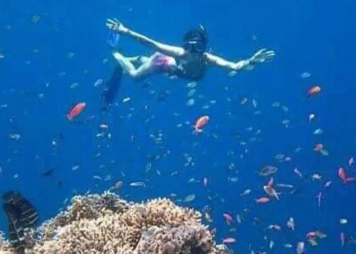 Taman Menjangan By Snorkelingmenjangan